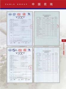 检验报告