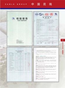检验报告