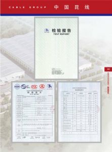 检验报告