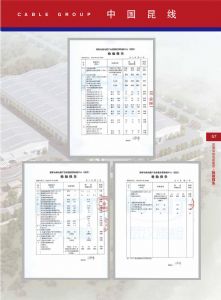 检验报告