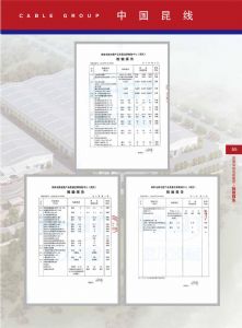 检验报告