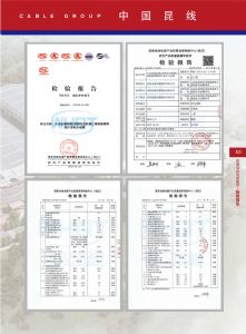检验报告