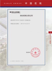 商标续展注册证
