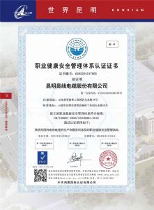 执业健康安全管理体系认证证书