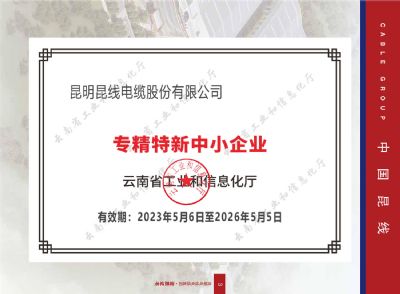 专精特新中小企业