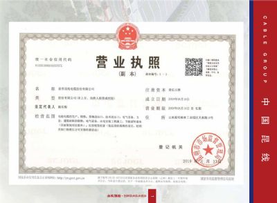 营业执照副本
