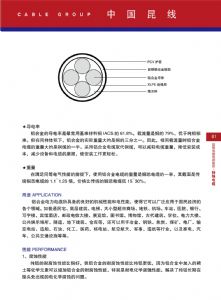 铝合金电缆