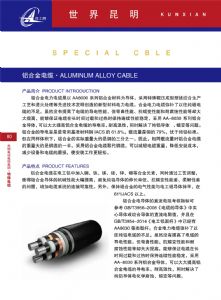 铝合金电缆